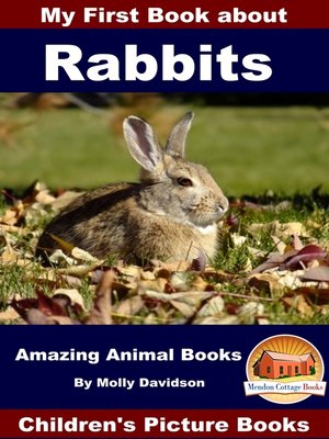 cover image of My First Book about Rabbits